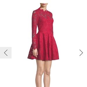 Saylor lace dress
